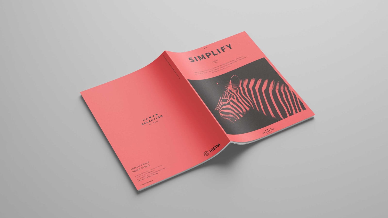 SIMPLIFY Mag 2